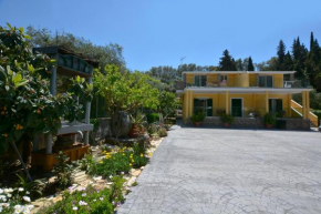Ilios Studios